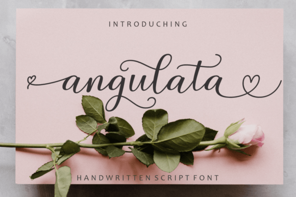 Angulata: A Modern Script Typeface for Editorial Design