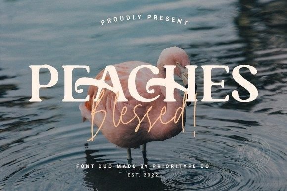 Peaches Blessed Duo: The Perfect Typeface for Handmade Brands