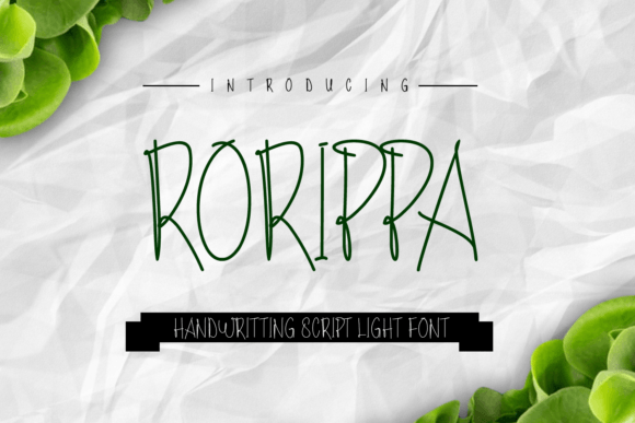 Rorippa: A Light Script Font for Editorial Design
