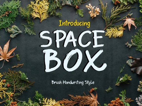 Space Box Review: A Bold Script for Modern Brand Identity